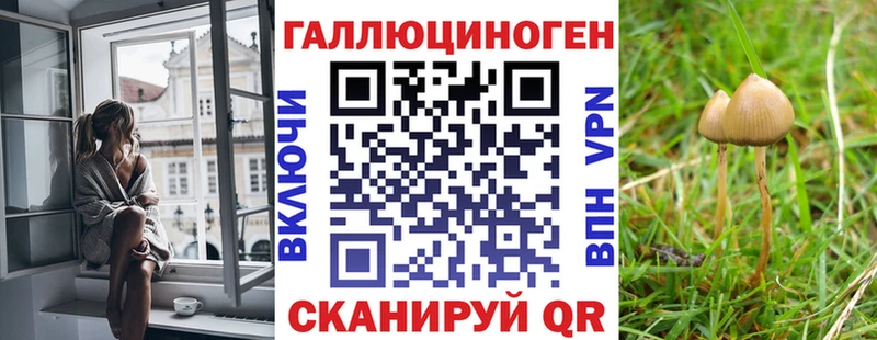 Псилоцибиновые грибы мухоморы хочу Чаплыгин